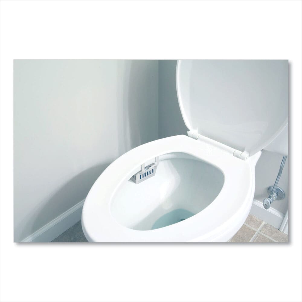 Non-Para Toilet Bowl Block, Lasts 30 Days, Evergreen Scent, White, 12/Box - Image 3