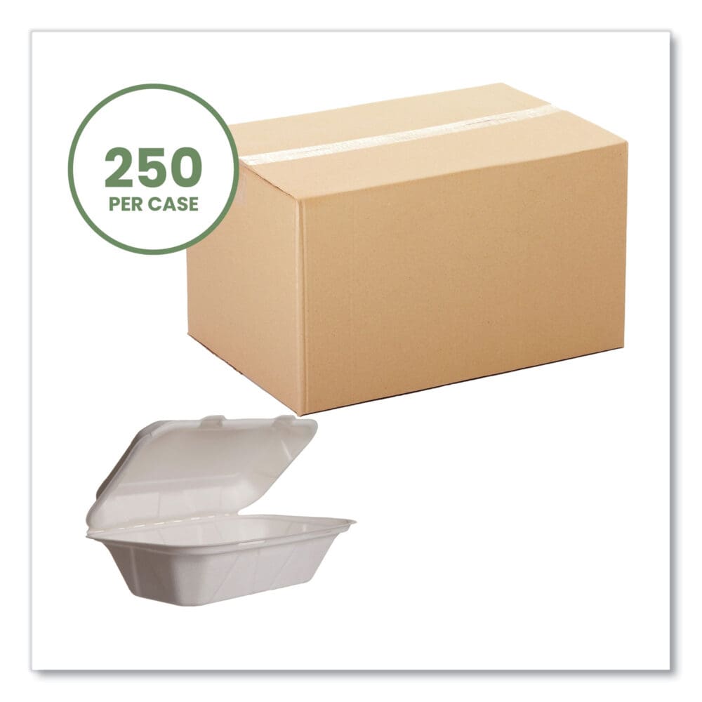 White Molded Fiber Clamshell Containers, 9 x 11 x 2, White, Sugarcane, 250/Carton - Image 4